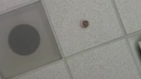 She worked 90 hour weeks. Raised $250M. Then got fired.