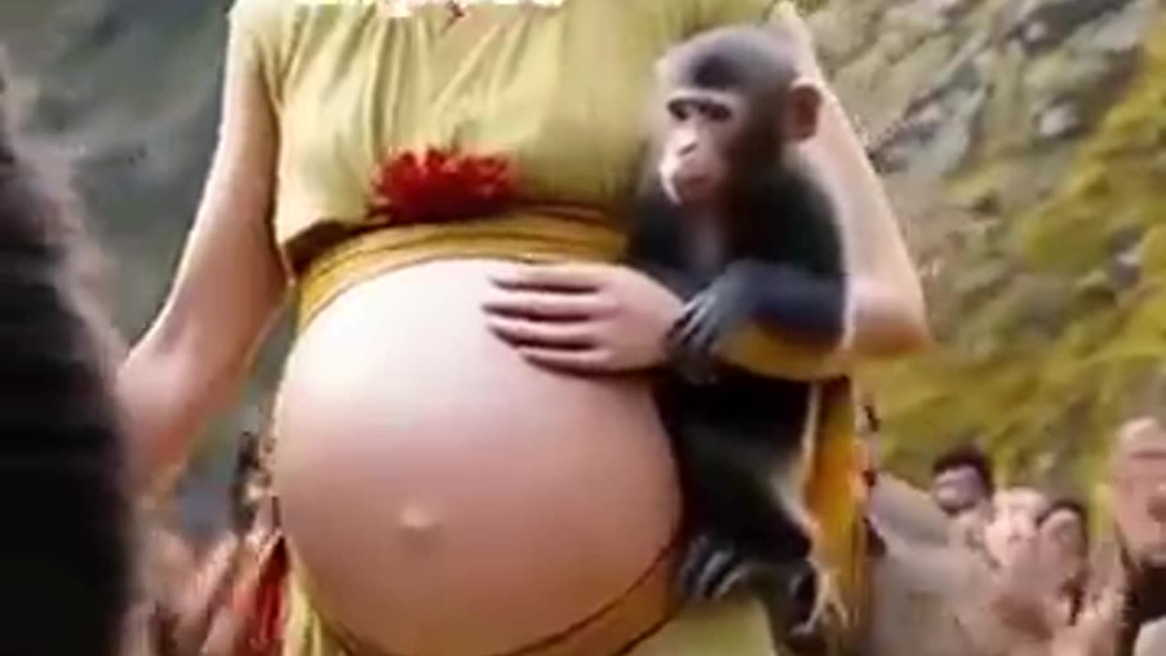 A Kiss of Gratitude to Nature: Life in Connection Between Mountains and Forests #funny #love #life