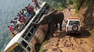 Shocking: TERRIFYING: Wild Elephant ATTACKS Tourist Bus on Deadly Cliff Edge | A
