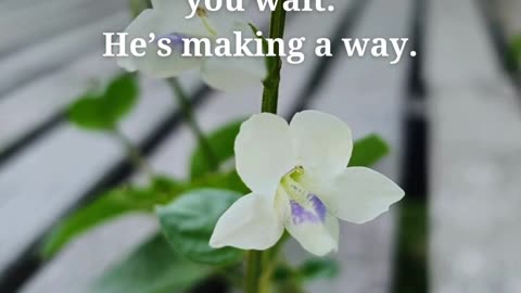 Stillness in God’s presence is more powerful than striving.