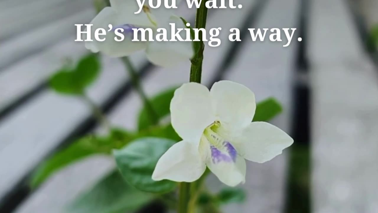 Stillness in God’s presence is more powerful than striving.