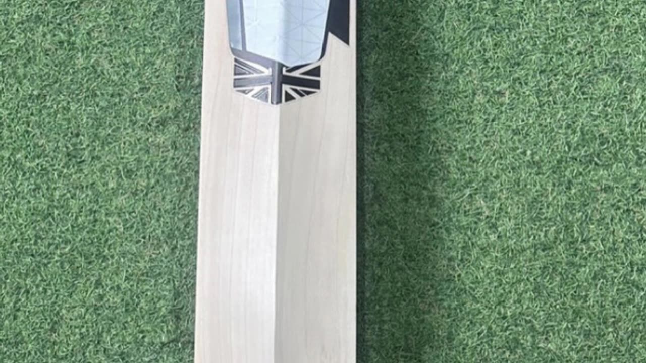 CS Brett Louis D’Oliveria Players Cricket Bat