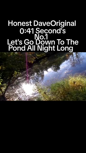 Go Down To The Pond All Night Long