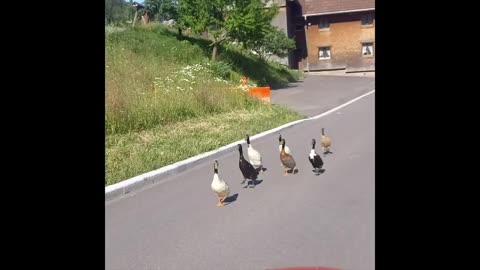 🔥GIFT vom Himmel？ 🔥Ein Landwirt packt aus - geheime Wetter-Phänomene Winterhalter⧸Lohrey