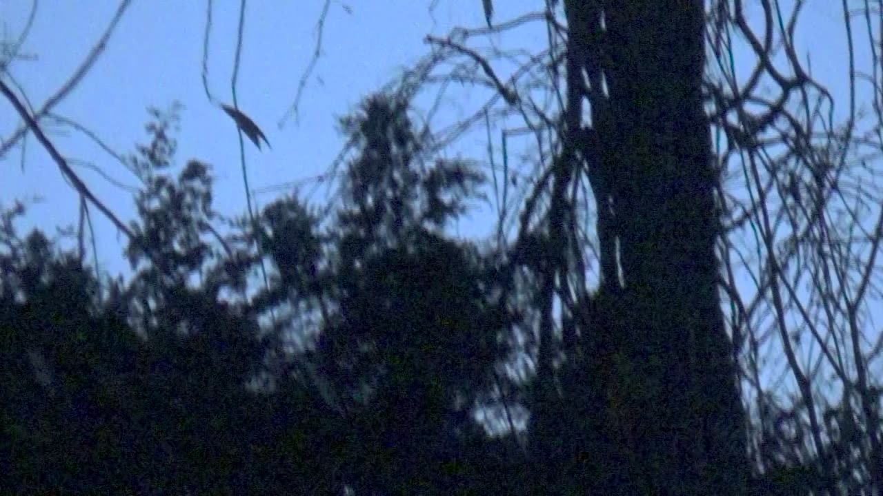 Daytime UFO / Light Ship