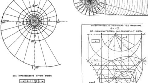 The Water Wizard - Viktor Schauberger