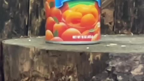 Remington Yellowjackets, Old VS New