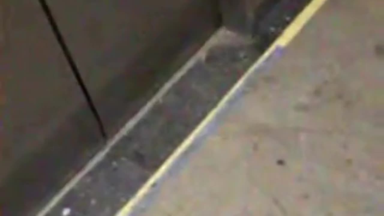 🚨👻 What's Causing This Elevator's Strange Noises? | TheHauntingHour