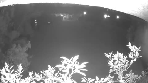 😱📹 Wait For The End... Ring Camera Captures Mystery! | TheHauntingHour