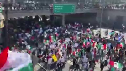 Los Angeles ICE protest 2/2/25 illegals came from 150 countries why all MX flags?