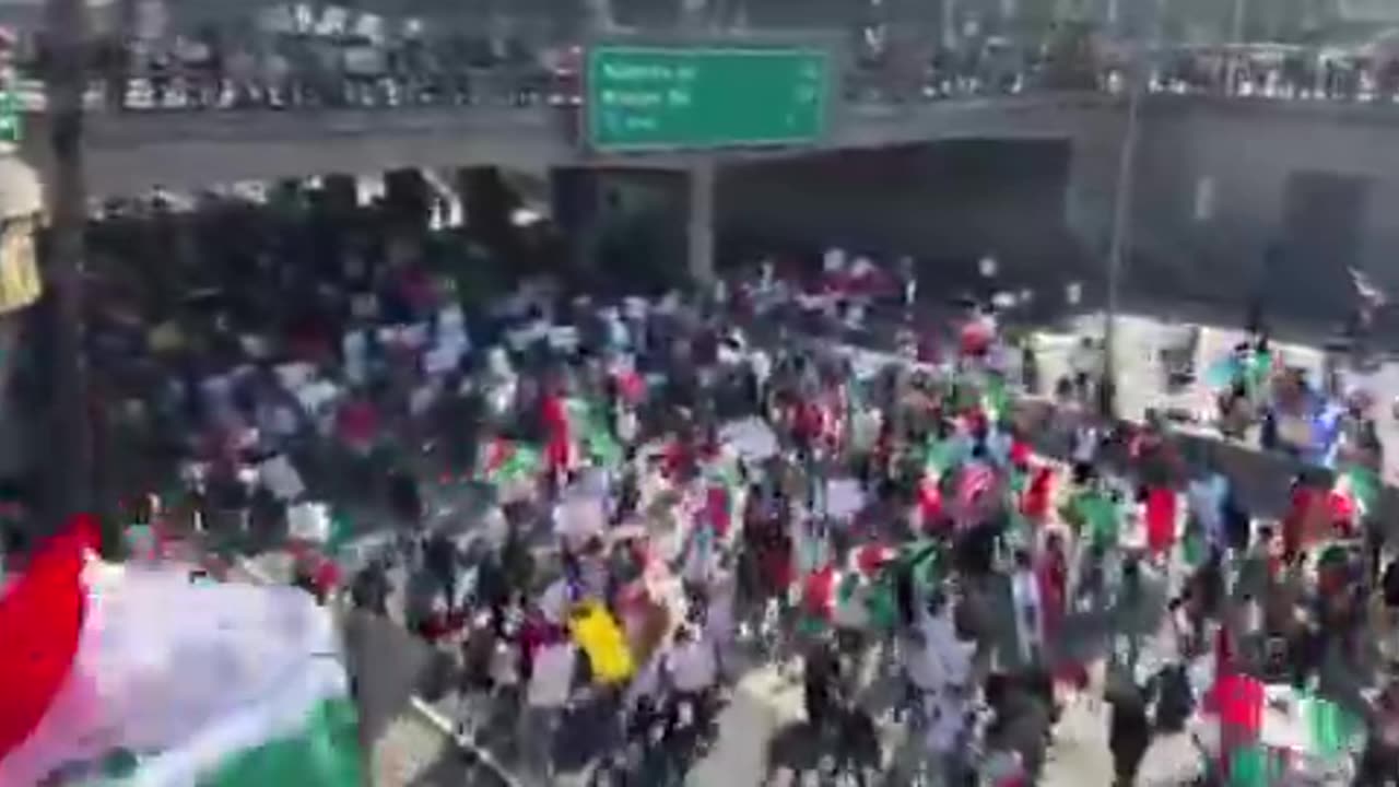 Los Angeles ICE protest 2/2/25 illegals came from 150 countries why all MX flags?