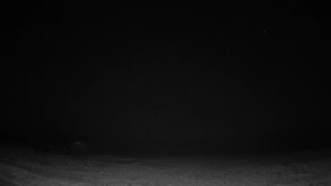 Ukrainian "long Neptunes". We do more 🇺🇦