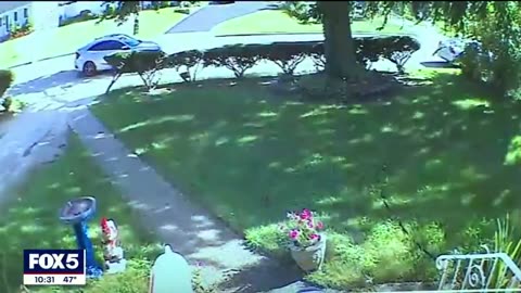 Illegal Alien Caught as Part of a Sophisticated Porch Pirate Ring in New York