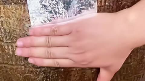 ✨👀 So Simple, Yet So Effective! | LifeHacksDaily