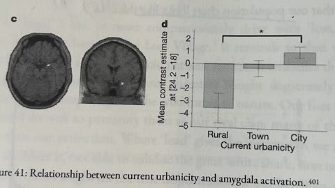 cortisol levels when you walk in the city v nature