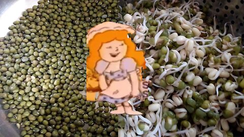 mung beans, #howto , #cooking ,