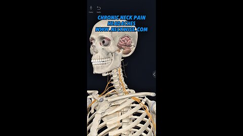 Alternative Neck Pain and Headache Doctor