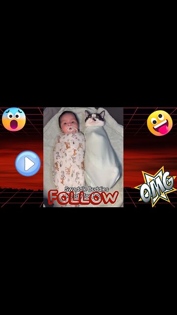 🐱👧 Cats Are Children’s Best Friends ❤️ | Heartwarming & Cute Moments