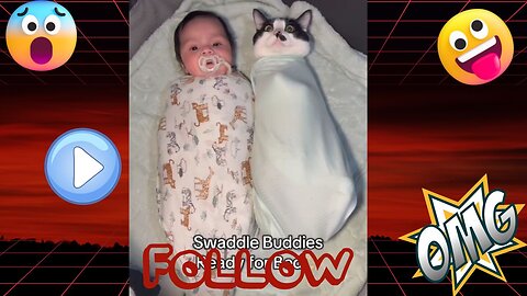 🐱👧 Cats Are Children’s Best Friends ❤️ | Heartwarming & Cute Moments