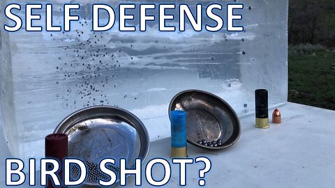 Can You Use Bird Shot for Self Defense?