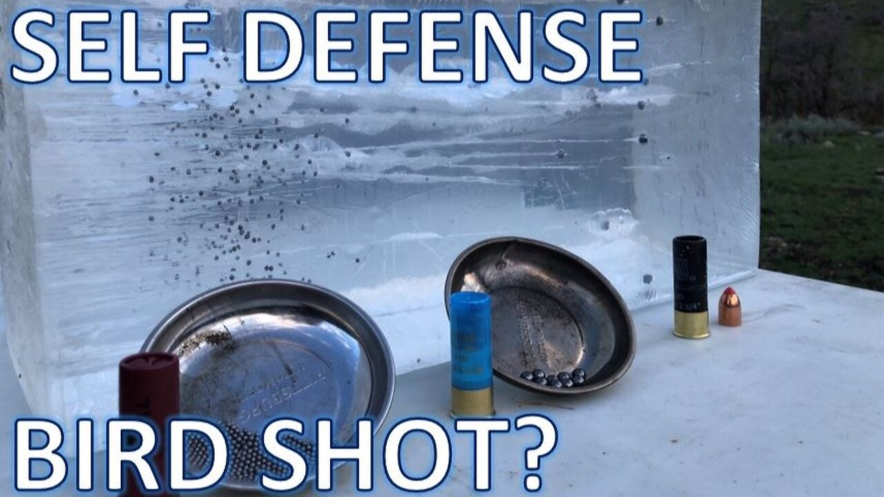 Can You Use Bird Shot for Self Defense?
