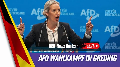 LIVE AfD Wahlkampf in Greding - Alles für Weidel.