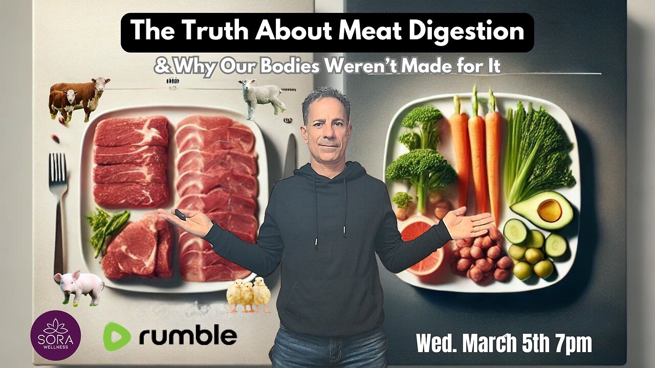 The Truth About Meat Digestion & Why Our Bodies Weren’t Made for It