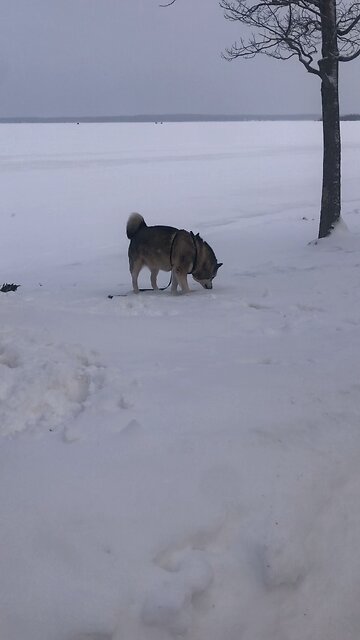 Wednesday January 21, God did not give us a spirit of fear and timidity.