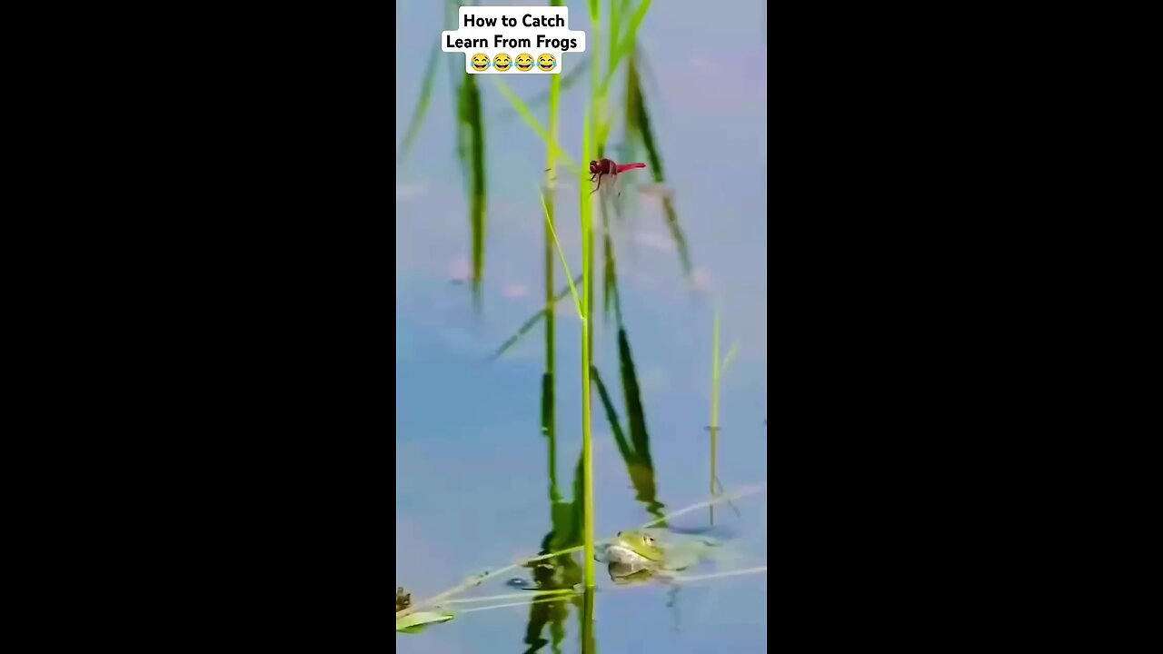 target missed