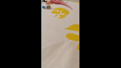 mini vets fourth video