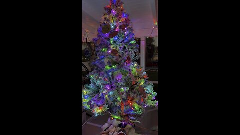 2025 MWIP Shell Tree! | 4K