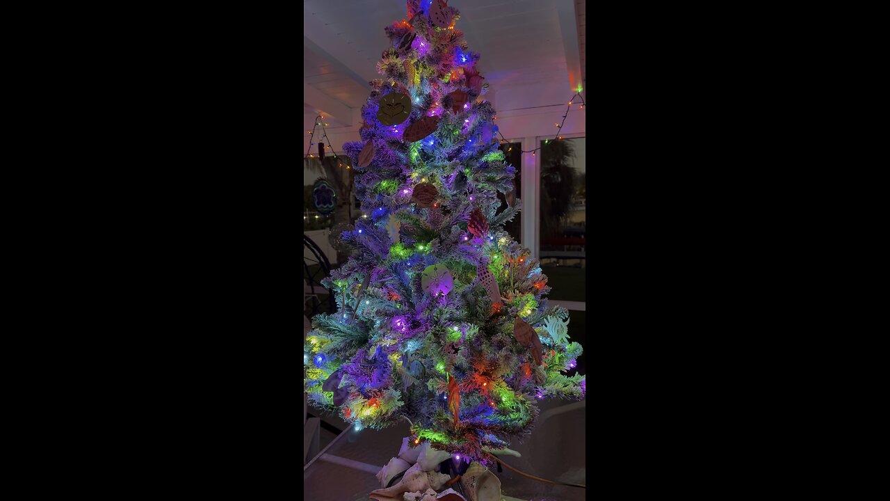 2025 MWIP Shell Tree! | 4K