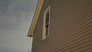 Cyraxx Doesn't Know Whats Going On Anymore, 339 Updates. + Peter Wasting His Time.