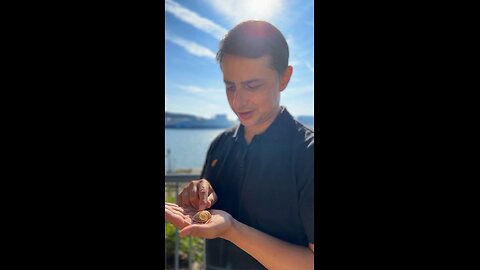 Sacred Geometry in Nature