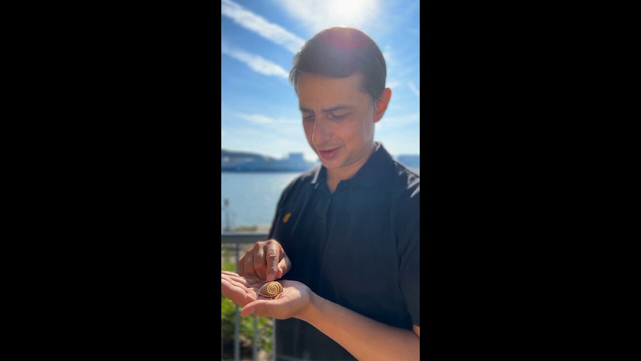 Sacred Geometry in Nature