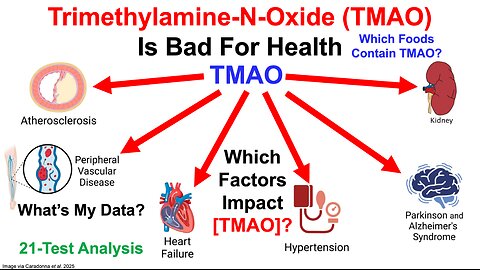 TMAO Is Bad For Health, But Can Be Reduced (21-Test Analysis)