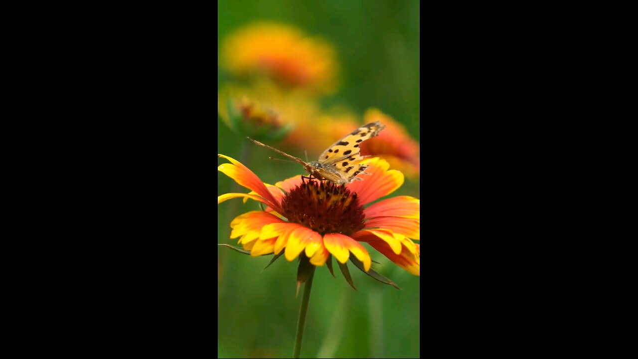 Daily Verse December 30th 2025