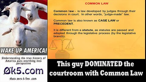 This guy DOMINATED the courtroom with Common Law