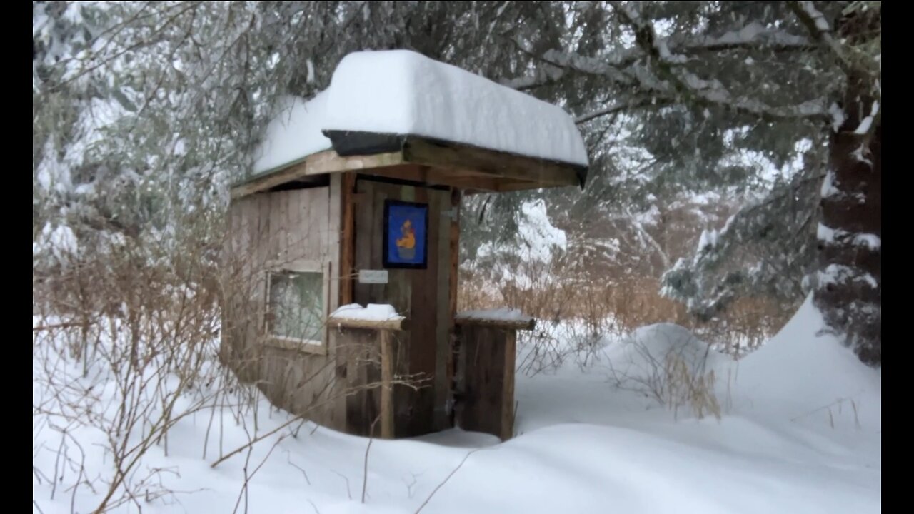 Getting To The Outhouse This Morning
