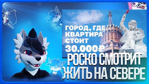 🐺 Роско смотрит Коллектив - Устроился на Севере на одну московскую зарплату