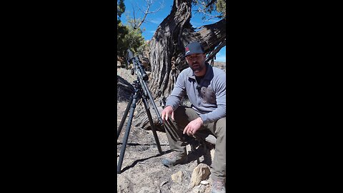 Muzzle break vs suppressor