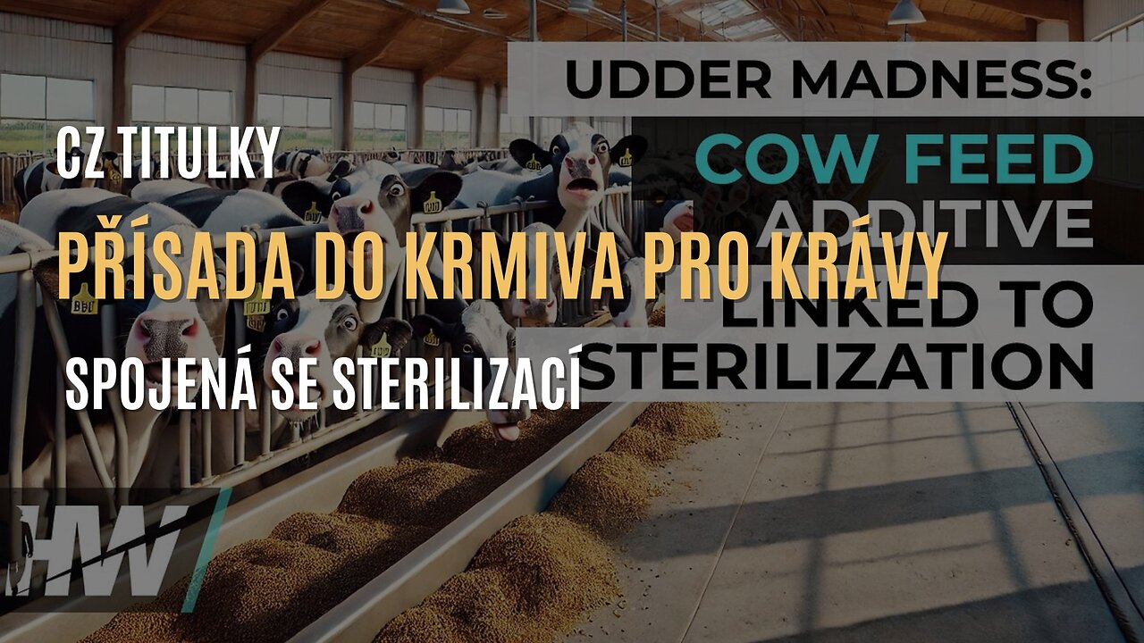Přísada do krmiva pro krávy, kterou financuje Bill Gates, spojená se sterilizací (CZ TITULKY)