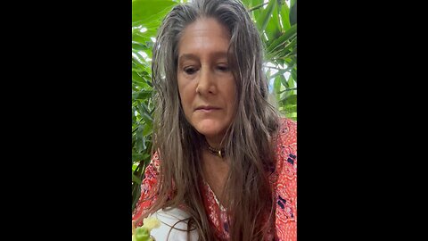Shampoo Ginger Plants Florida In October Heidi Rose Homesteading