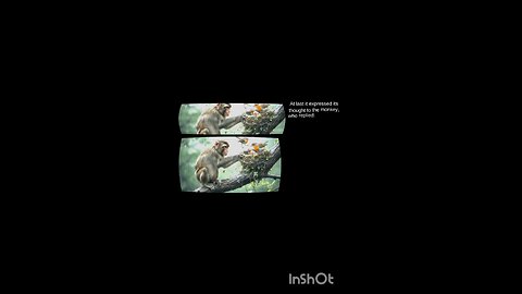 English Stories a monkey objects to criticism