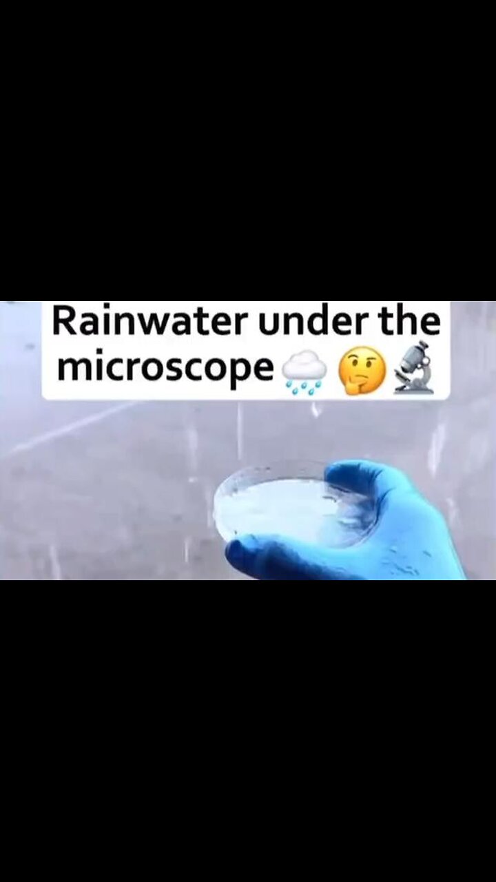 Rainwater under the microscope