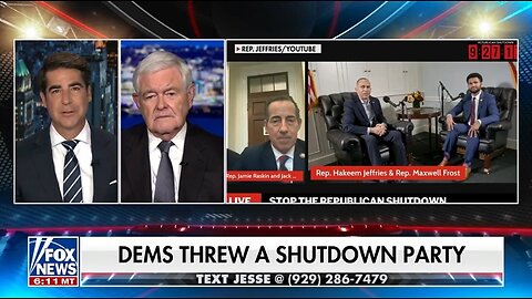 Newt Gingrich: This Is The Democrats Dumbest Strategy 