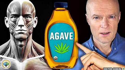 Co kdybyste přestali jíst cukr a místo něj 30 dní užívali agáve