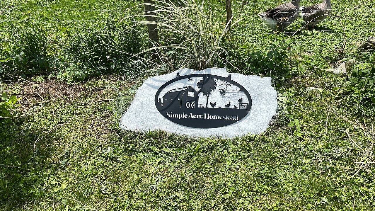 Simple Acre Homestead is live! #46