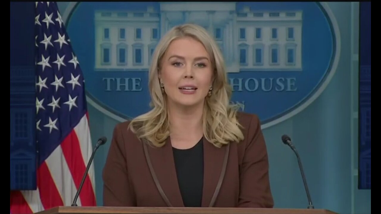 Karoline Leavitt: It's Completely Absurd That Dems Are Affordability Champions