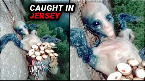 Alarming Viral Videos That Creep Out All Experts - Classified Captures